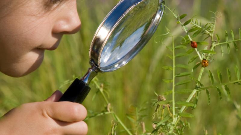 Girl magnifying glass